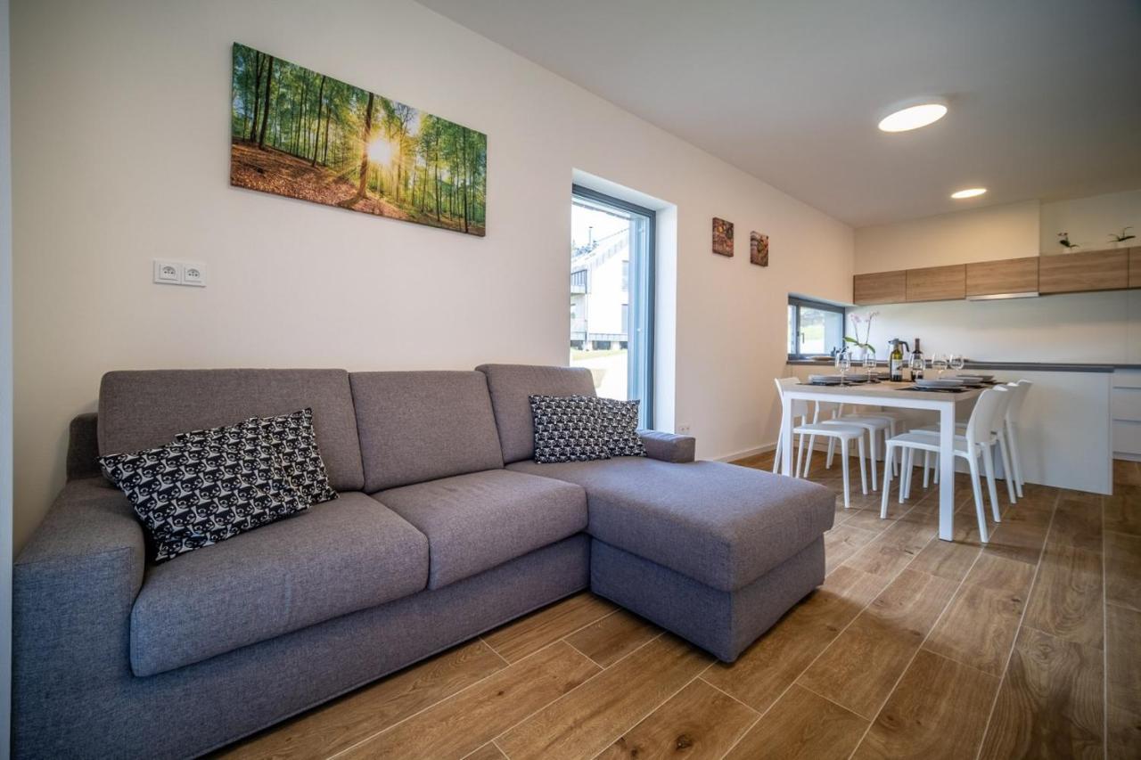 Holiday House U Hajenky 11P Lipno Home リプノ・ナト・ヴルタヴォウ エクステリア 写真
